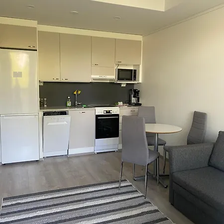Pikkukaksio Yliopiston Vieressae Apartment *
