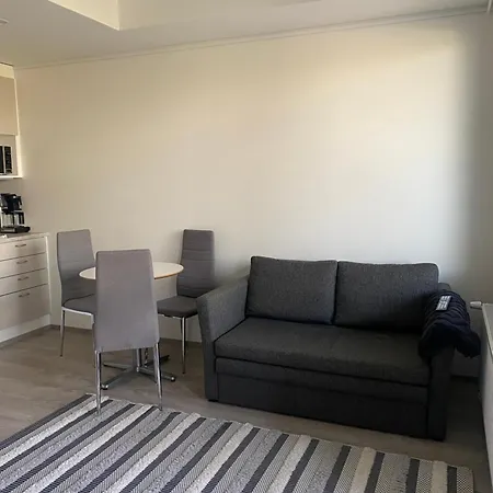 Pikkukaksio Yliopiston Vieressae Apartment Joensuu