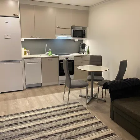 Pikkukaksio Yliopiston Vieressae Apartment Joensuu