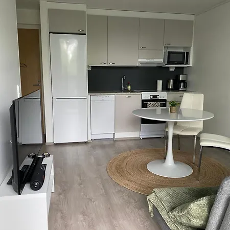 Apartment Pikkukaksio Yliopiston Vieressae *